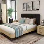 KREVET KALISTO - Image 2